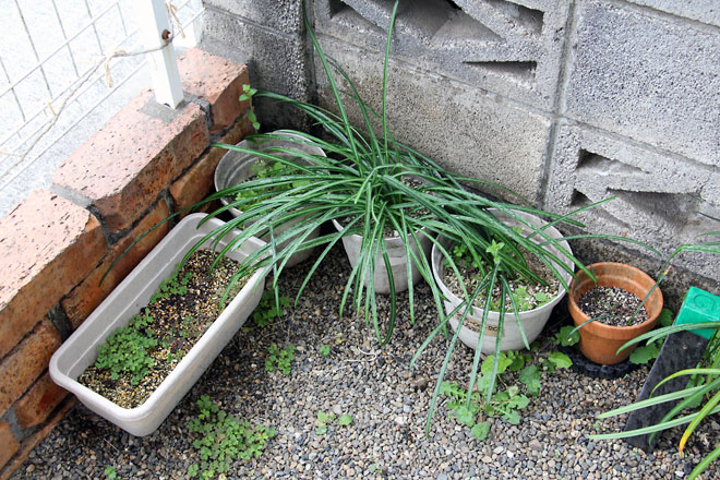 f:id:takahikonojima:20190330093854j:plain