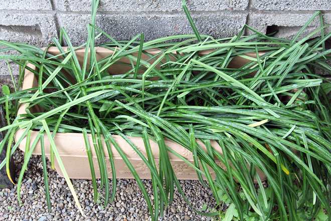 f:id:takahikonojima:20190330093901j:plain