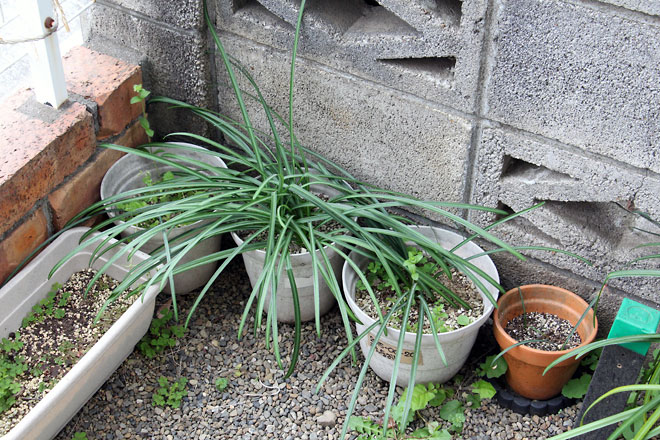 f:id:takahikonojima:20190330093907j:plain