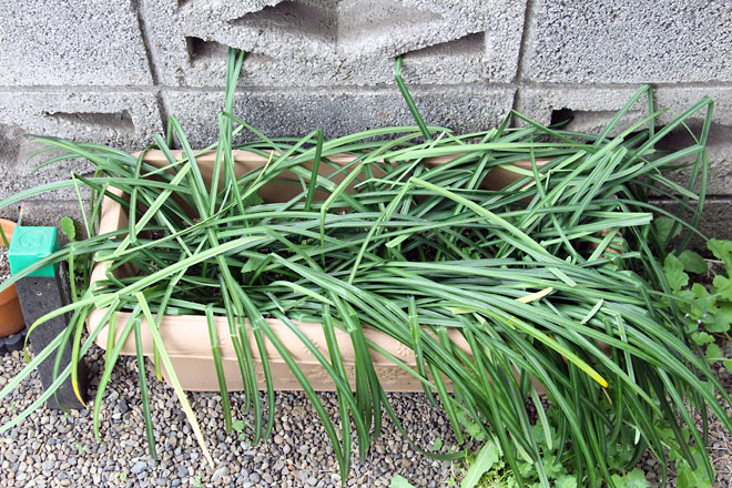 f:id:takahikonojima:20190330093913j:plain