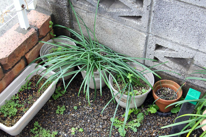 f:id:takahikonojima:20190406093601j:plain