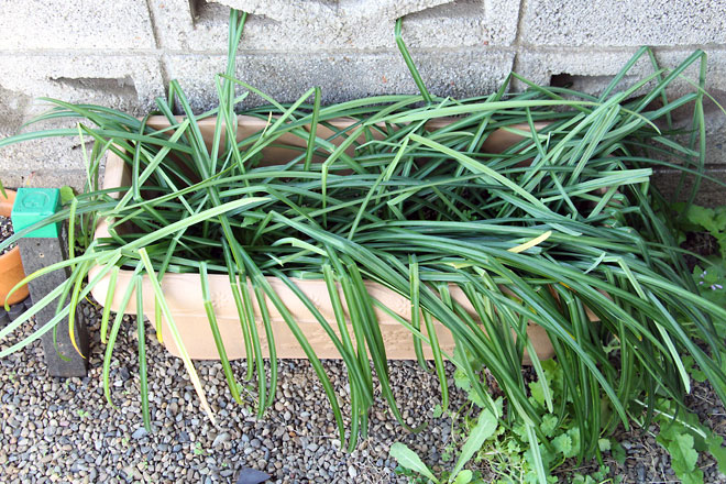 f:id:takahikonojima:20190406093620j:plain