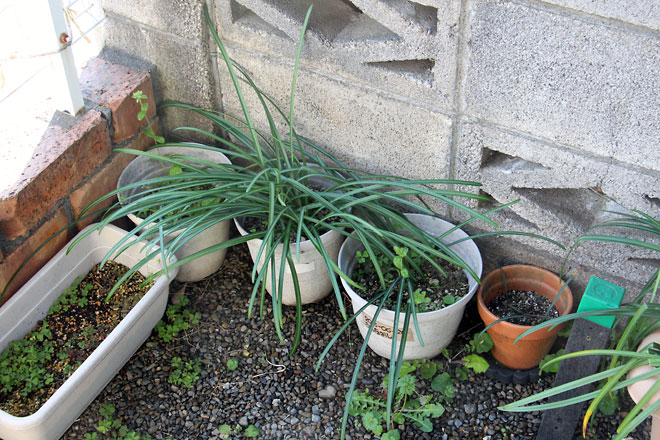 f:id:takahikonojima:20190406093628j:plain