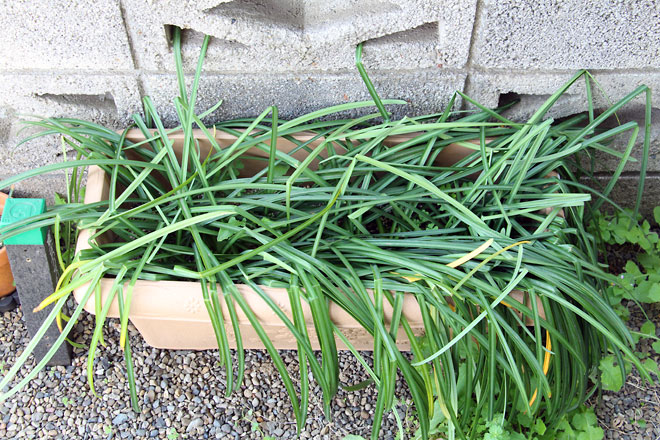 f:id:takahikonojima:20190406093723j:plain