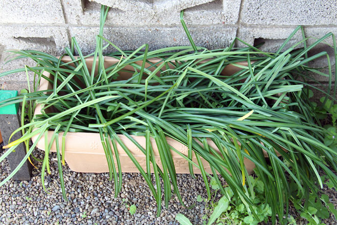 f:id:takahikonojima:20190406093947j:plain