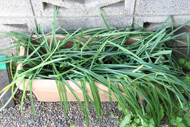 f:id:takahikonojima:20190406094025j:plain