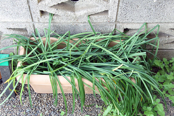 f:id:takahikonojima:20190406094059j:plain