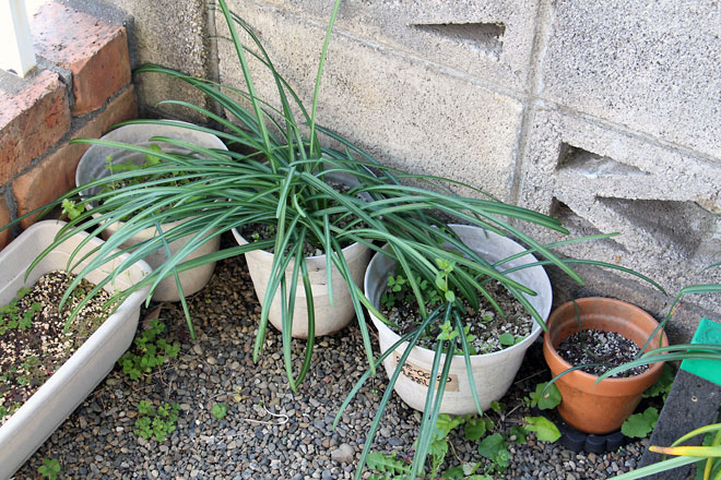 f:id:takahikonojima:20190406095217j:plain