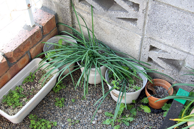 f:id:takahikonojima:20190406095522j:plain