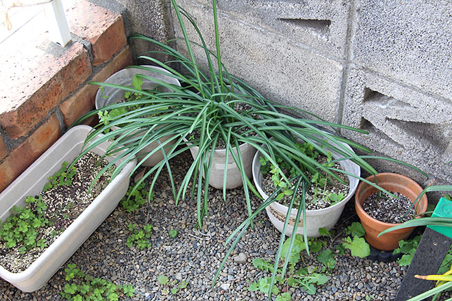 f:id:takahikonojima:20190418154808j:plain