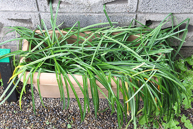 f:id:takahikonojima:20190418154827j:plain