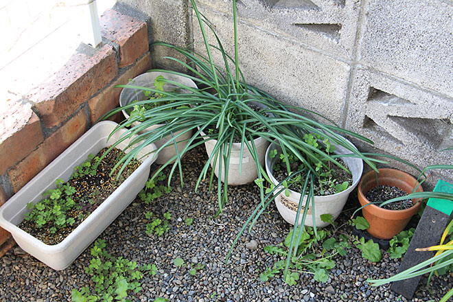 f:id:takahikonojima:20190418154832j:plain