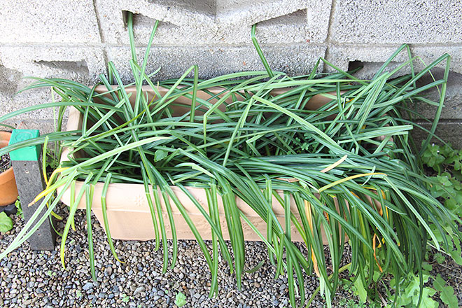 f:id:takahikonojima:20190418154837j:plain