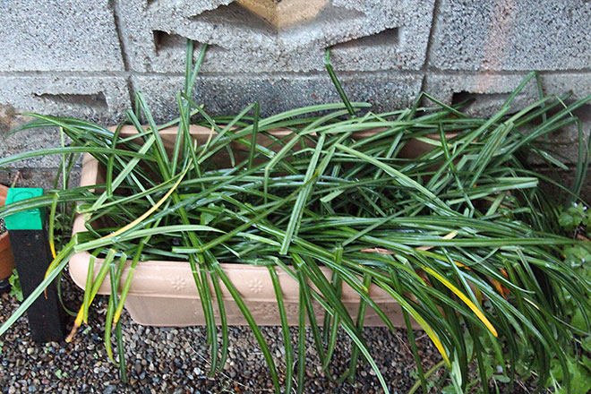 f:id:takahikonojima:20190418154857j:plain