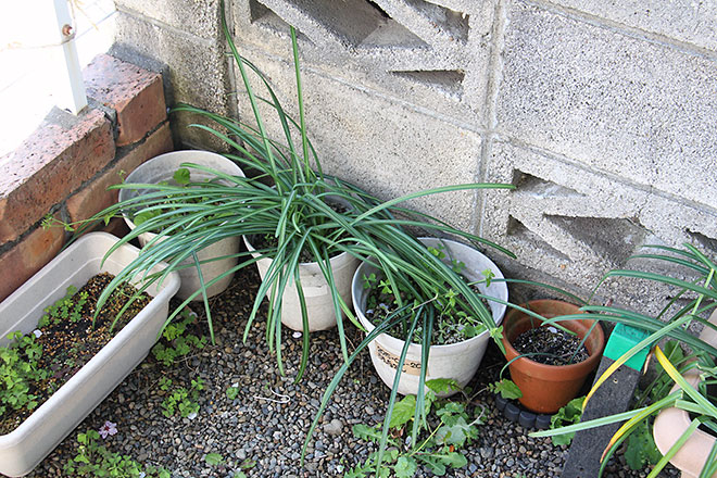 f:id:takahikonojima:20190418154902j:plain