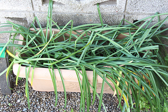 f:id:takahikonojima:20190418154908j:plain