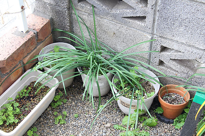 f:id:takahikonojima:20190418154921j:plain