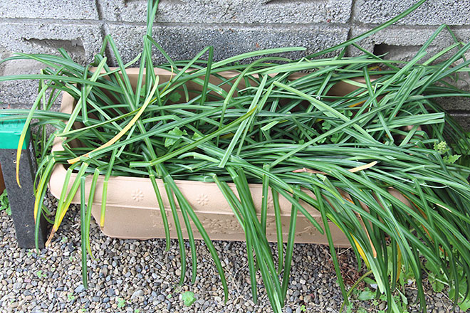 f:id:takahikonojima:20190418154926j:plain