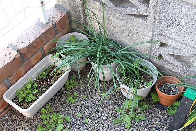 f:id:takahikonojima:20190418154932j:plain