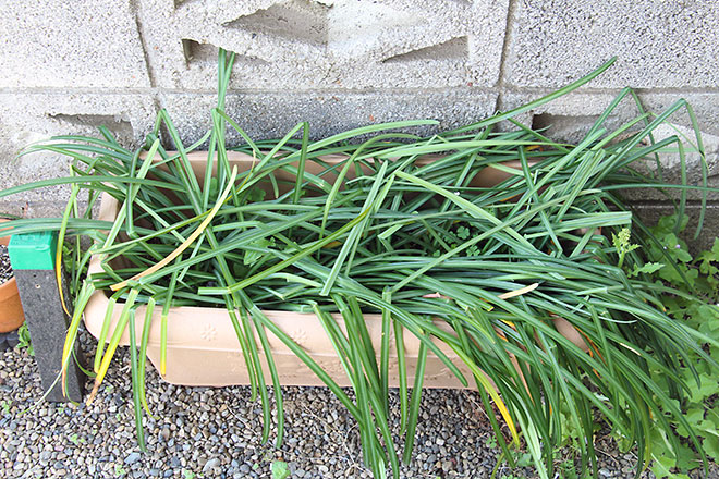 f:id:takahikonojima:20190418154938j:plain