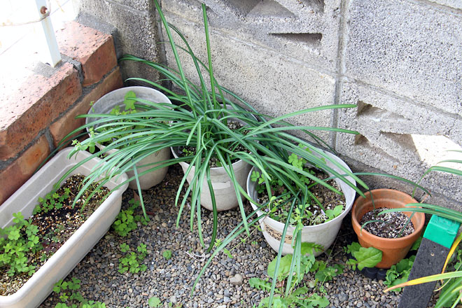 f:id:takahikonojima:20190420082438j:plain