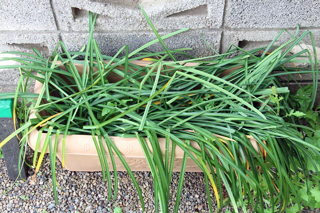 f:id:takahikonojima:20190420082444j:plain