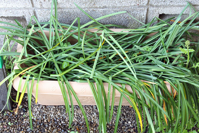 f:id:takahikonojima:20190420082454j:plain