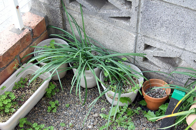 f:id:takahikonojima:20190420082503j:plain