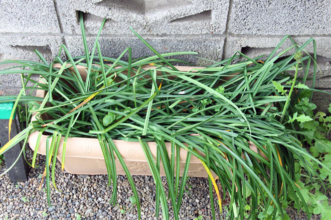 f:id:takahikonojima:20190420082508j:plain