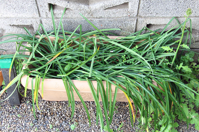 f:id:takahikonojima:20190420082519j:plain