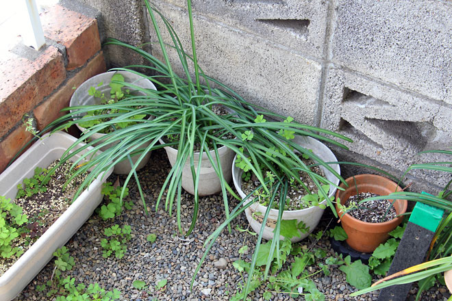 f:id:takahikonojima:20190420082524j:plain