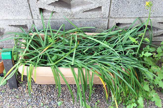 f:id:takahikonojima:20190420082530j:plain