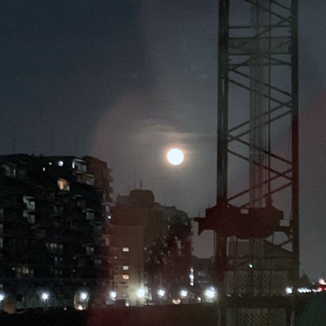 f:id:takahikonojima:20190422165118j:plain