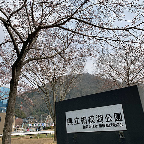 f:id:takahikonojima:20190422165439j:plain