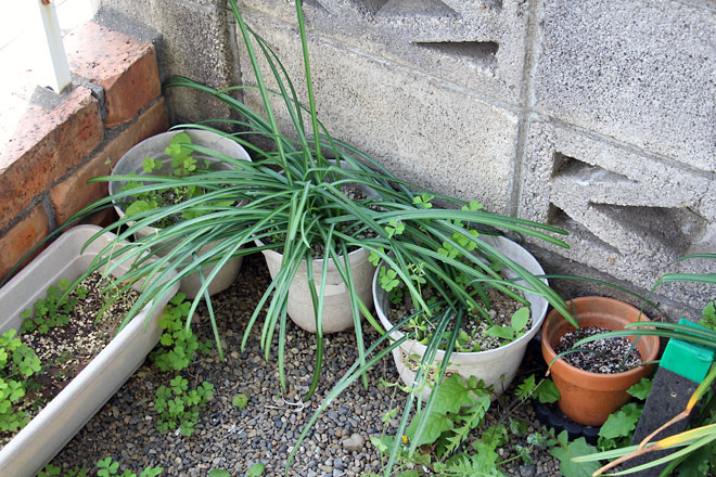 f:id:takahikonojima:20190427085042j:plain