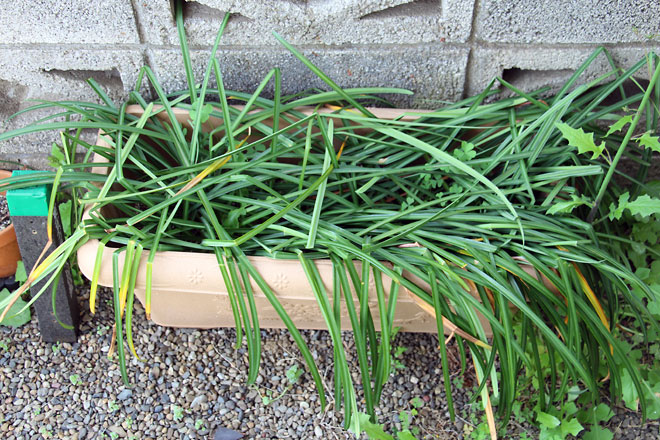 f:id:takahikonojima:20190427085050j:plain