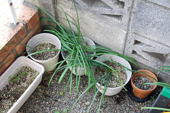 f:id:takahikonojima:20190427085056j:plain