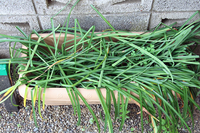 f:id:takahikonojima:20190427085101j:plain