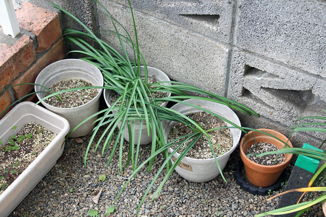 f:id:takahikonojima:20190427085107j:plain