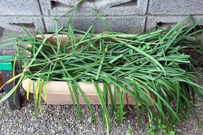 f:id:takahikonojima:20190427085113j:plain