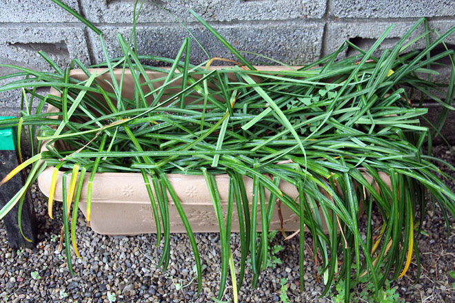 f:id:takahikonojima:20190427085123j:plain