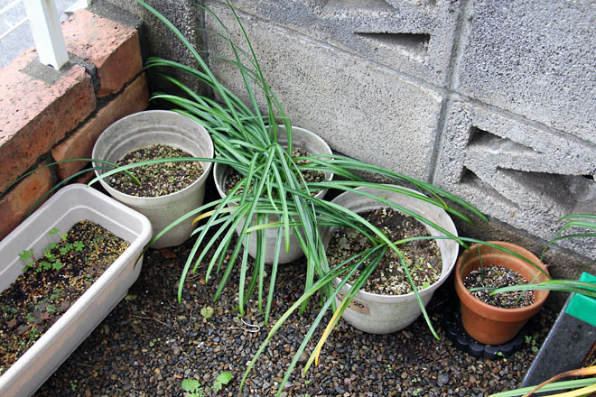 f:id:takahikonojima:20190427085129j:plain