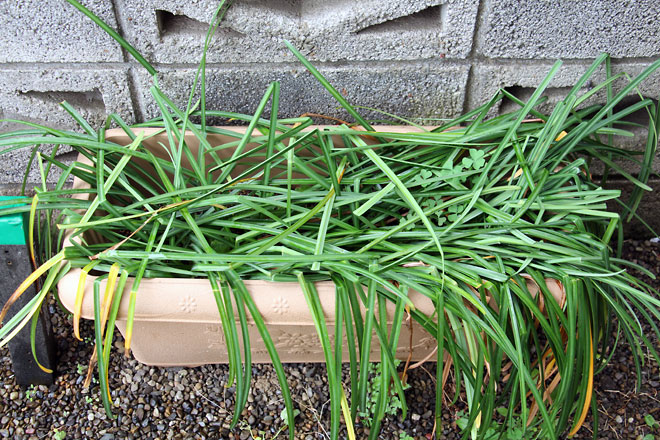 f:id:takahikonojima:20190427085135j:plain