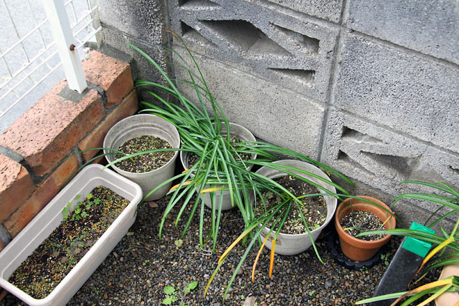 f:id:takahikonojima:20190427085140j:plain