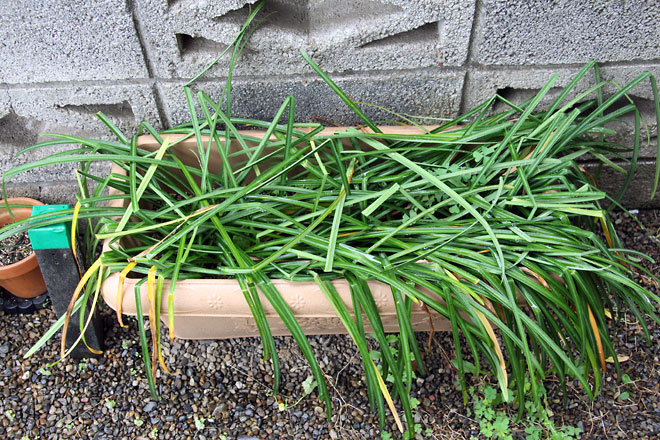 f:id:takahikonojima:20190427085146j:plain