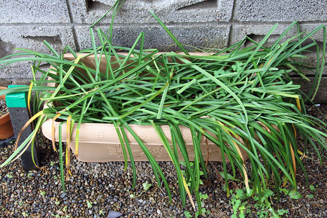 f:id:takahikonojima:20190427085159j:plain