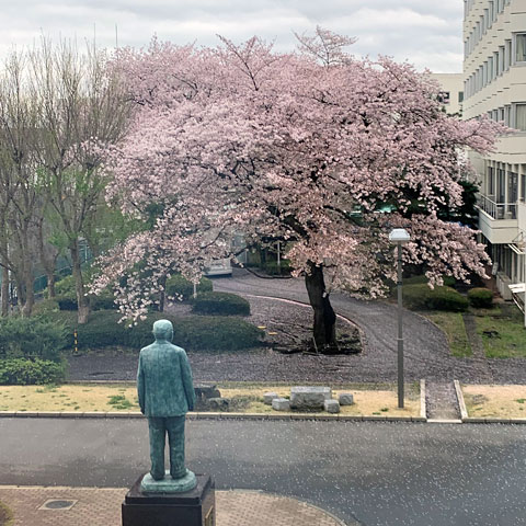 f:id:takahikonojima:20190430084347j:plain f:id:takahikonojima:20190430084347j:plain