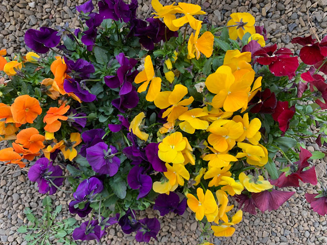 f:id:takahikonojima:20190503131605j:plain