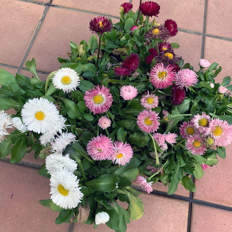 f:id:takahikonojima:20190503132757j:plain