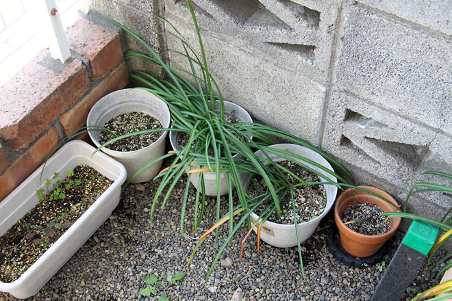 f:id:takahikonojima:20190504181445j:plain